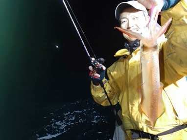 マイカ(ケンサキイカ)