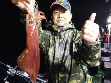 マイカ(ケンサキイカ)