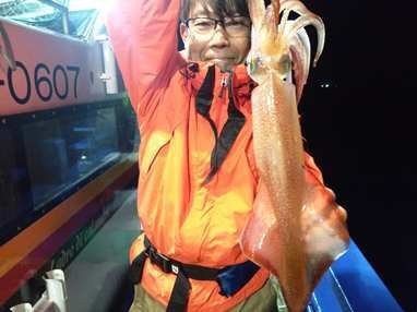 マイカ(ケンサキイカ)