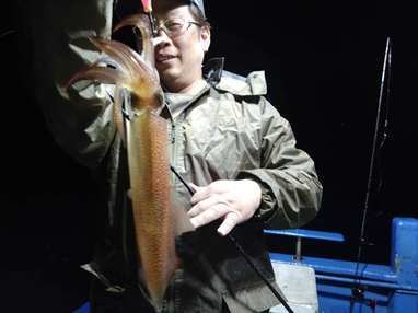 マイカ(ケンサキイカ)