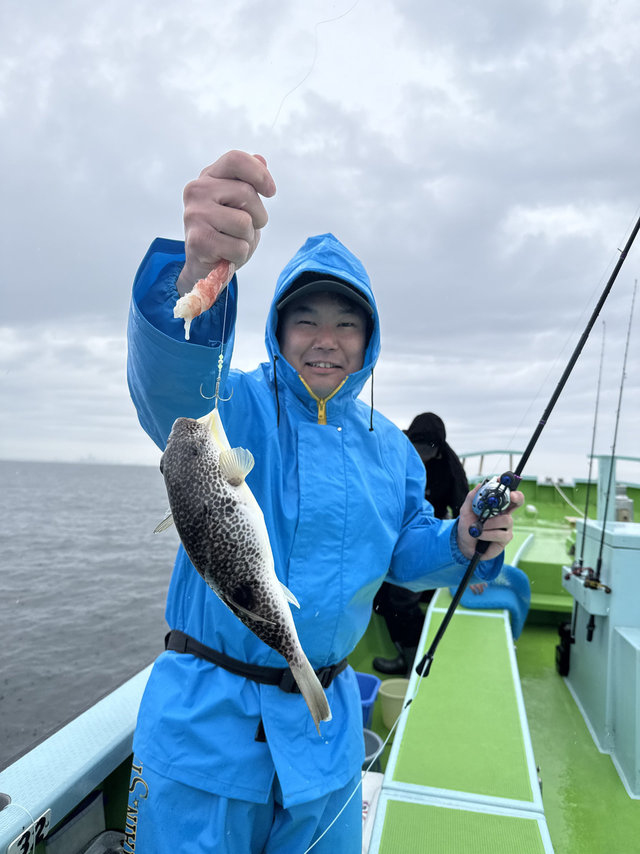 フグ(ショウサイフグ)