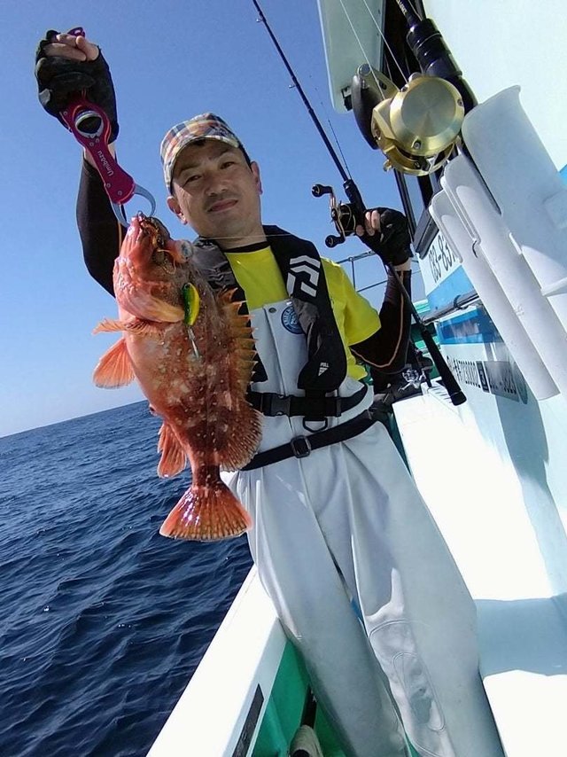 ウッカリカサゴ