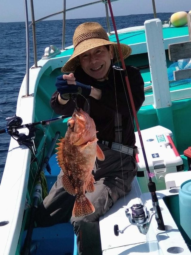 ウッカリカサゴ