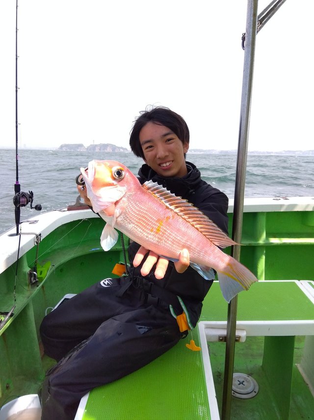 アマダイ(アカアマダイ)