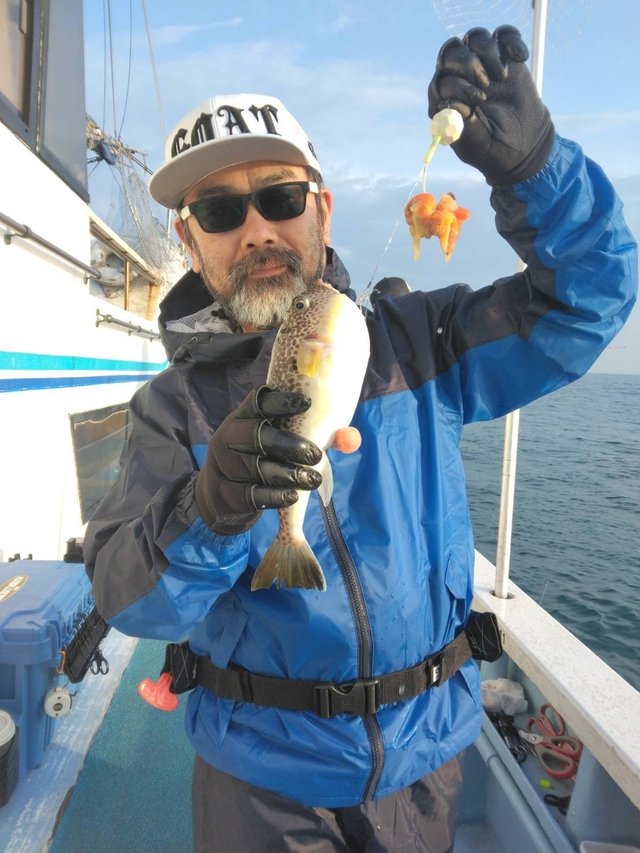 ショウサイフグ