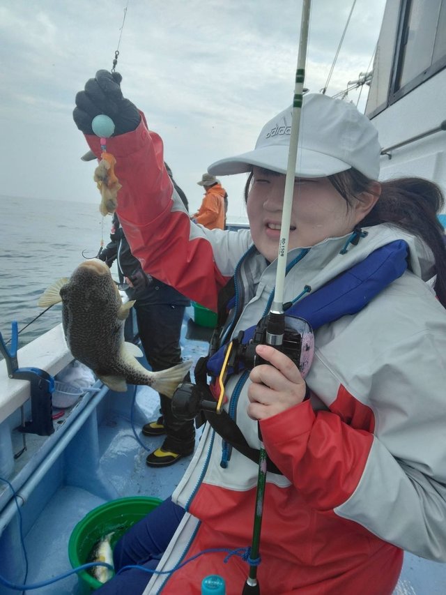 ショウサイフグ