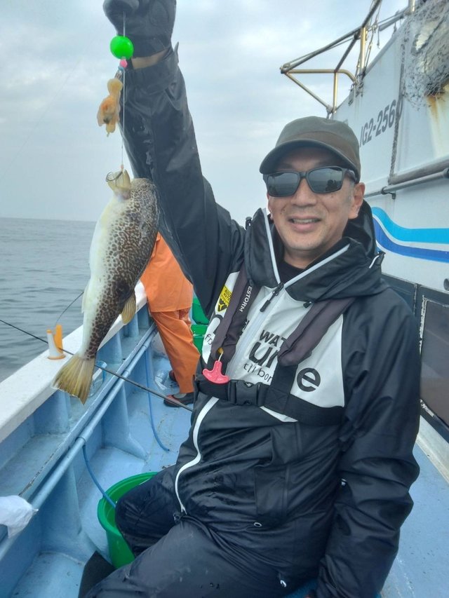 ショウサイフグ