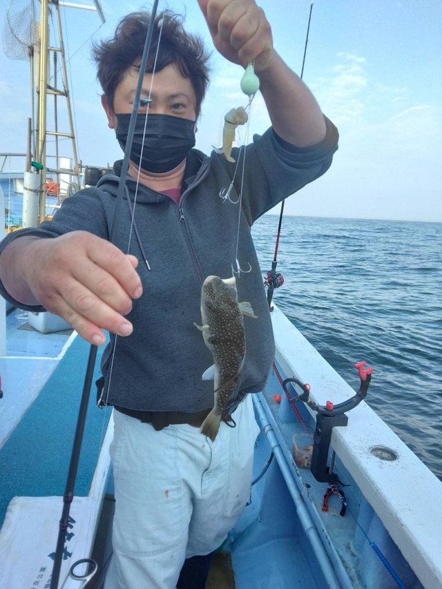 ショウサイフグ