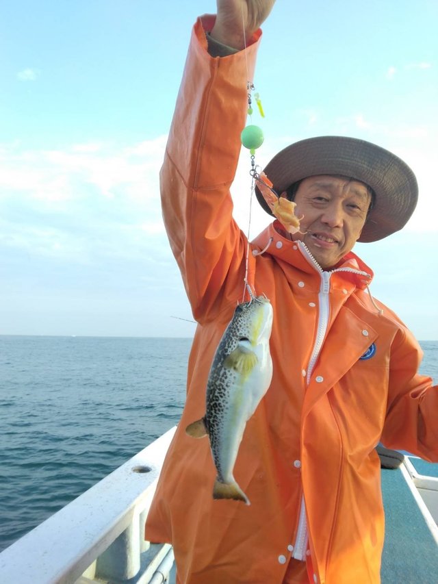 ショウサイフグ