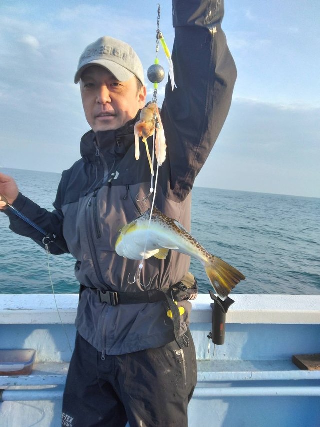 ショウサイフグ