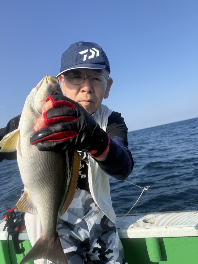 イサギ(イサキ)