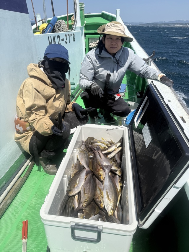 イサギ(イサキ)