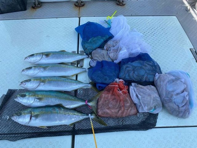 ハマチ(ブリ)・タコ(マダコ)