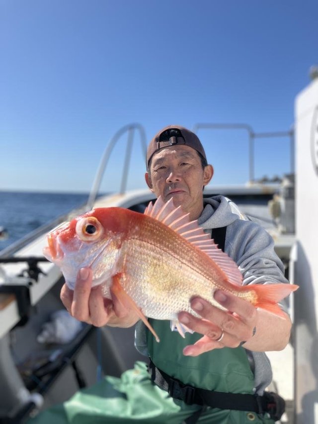 レンコダイ(キダイ)