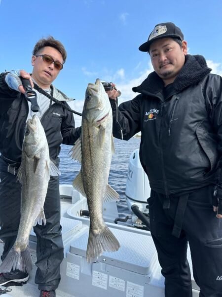 シーバス(スズキ)