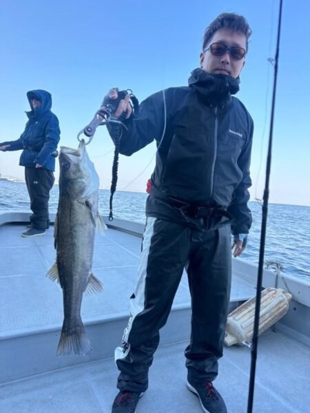 シーバス(スズキ)