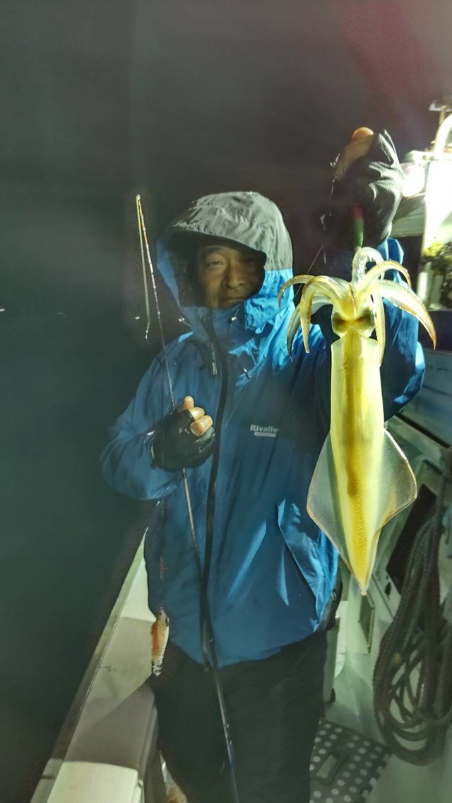 マイカ(ケンサキイカ)