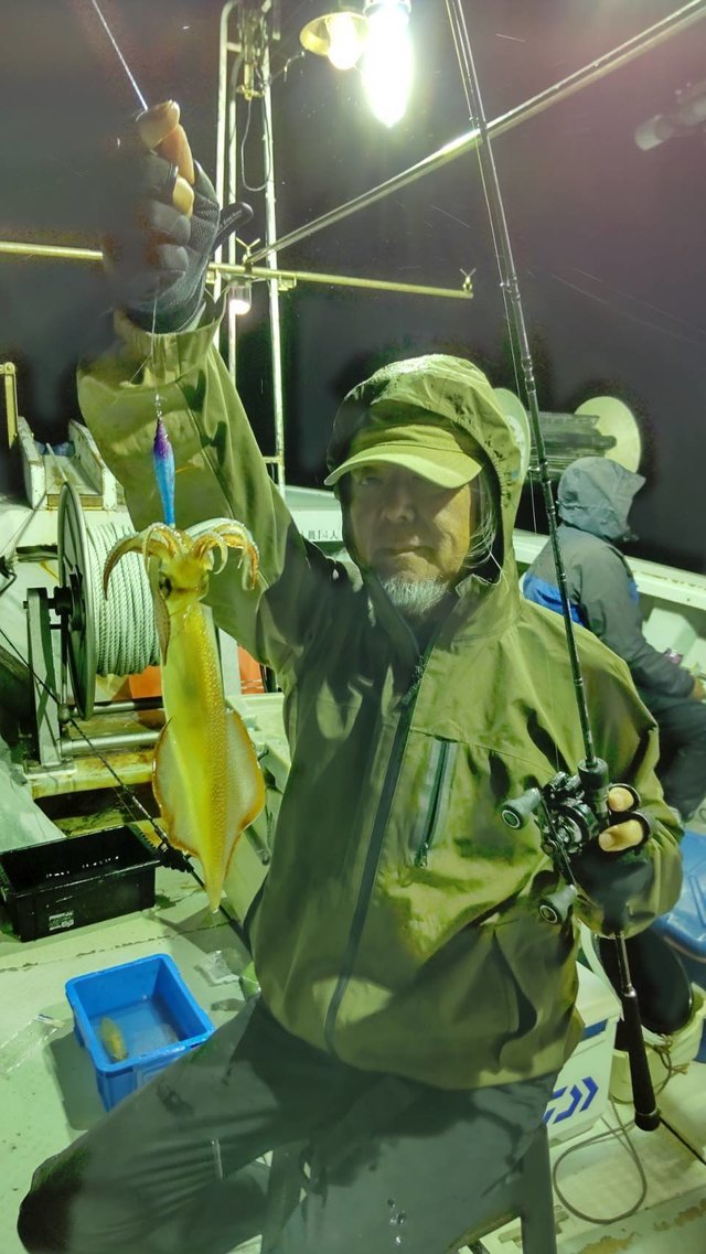 マイカ(ケンサキイカ)