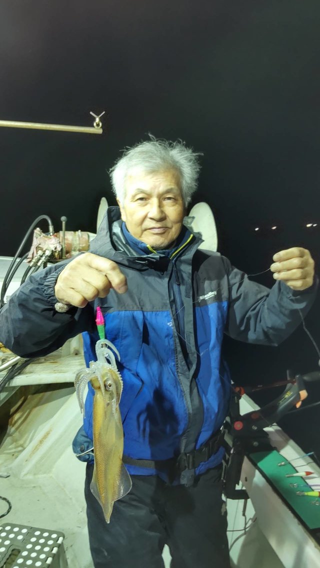 マイカ(ケンサキイカ)