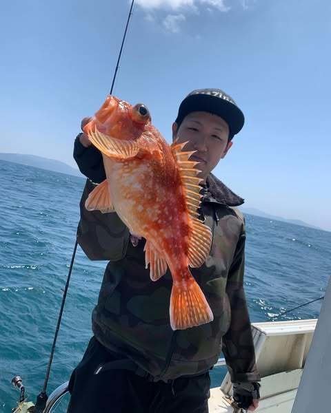 ウッカリカサゴ