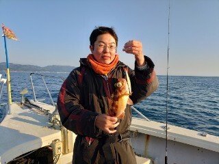 ヤナギ(ウスメバル)