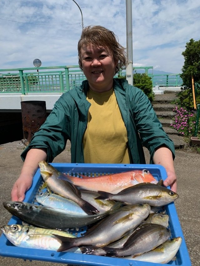 アジ(マアジ)・イサキ・アマダイ(アカアマダイ)