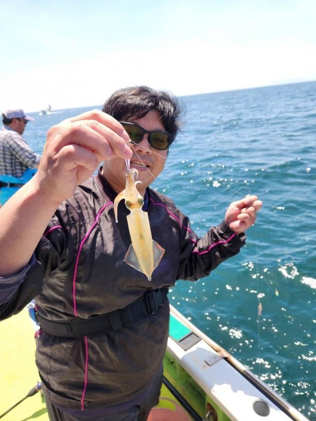 マルイカ(ケンサキイカ)