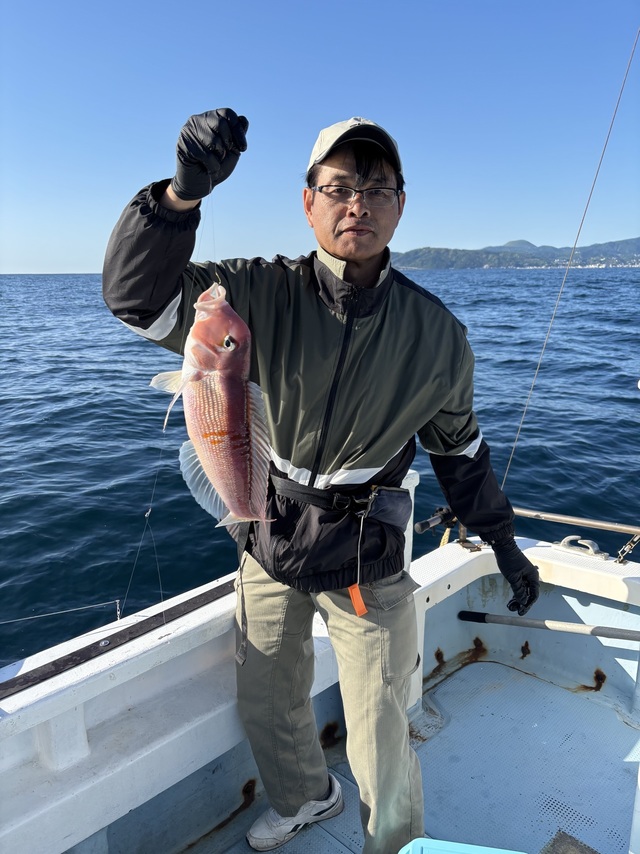 アマダイ(アカアマダイ)