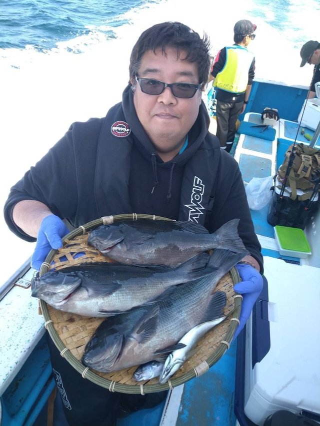 メジナ・アジ(マアジ)