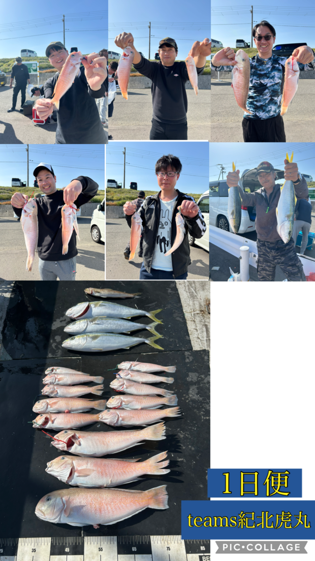 ハマチ(ブリ)・シロアマダイ