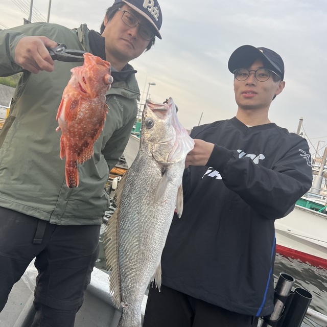 オオニベ・ウッカリカサゴ