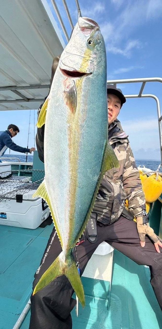 ショゴ(カンパチ)