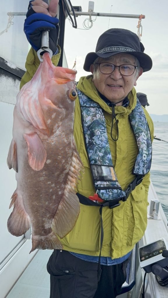 アコウ(キジハタ)