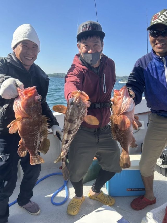 アコウ(キジハタ)