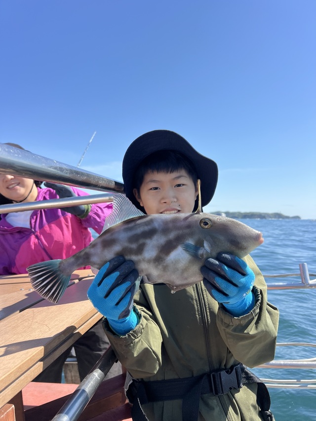 ウマズラハギ(ウマヅラハギ)