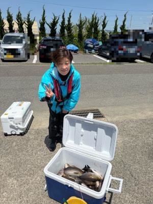 イサギ(イサキ)