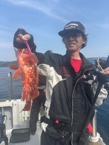 ガシラ(カサゴ)