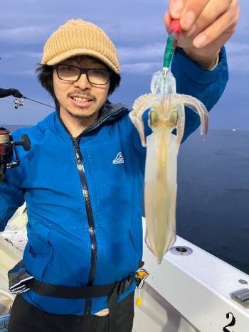 マイカ(ケンサキイカ)