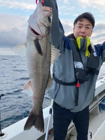 シーバス(スズキ)