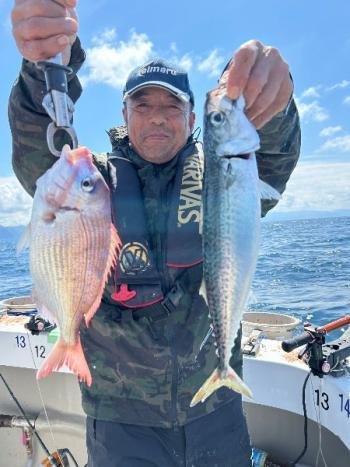 マダイ・マサバ