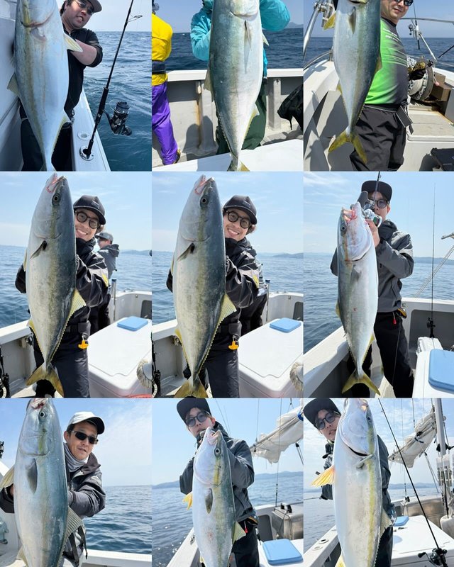 ブリ・メジロ(ブリ)