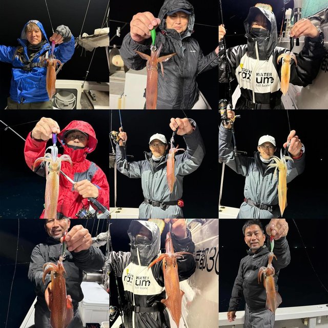 マイカ(ケンサキイカ)