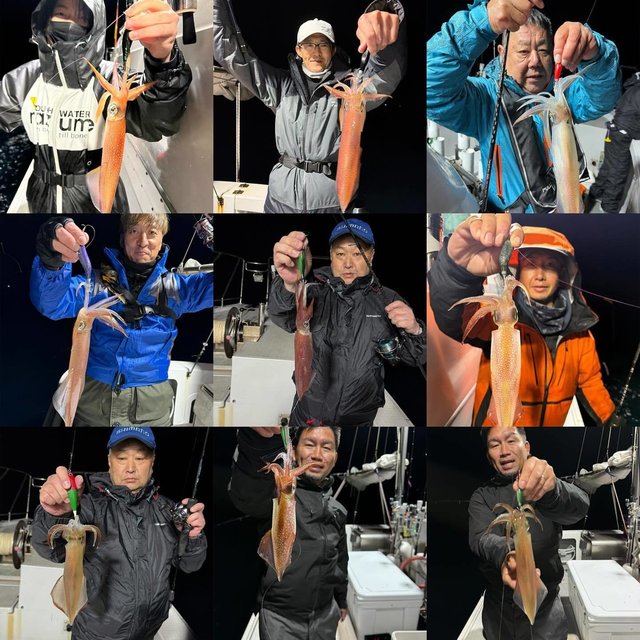 マイカ(ケンサキイカ)