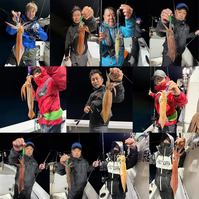 マイカ(ケンサキイカ)