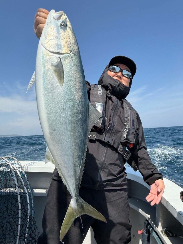 サンパク(ブリ)