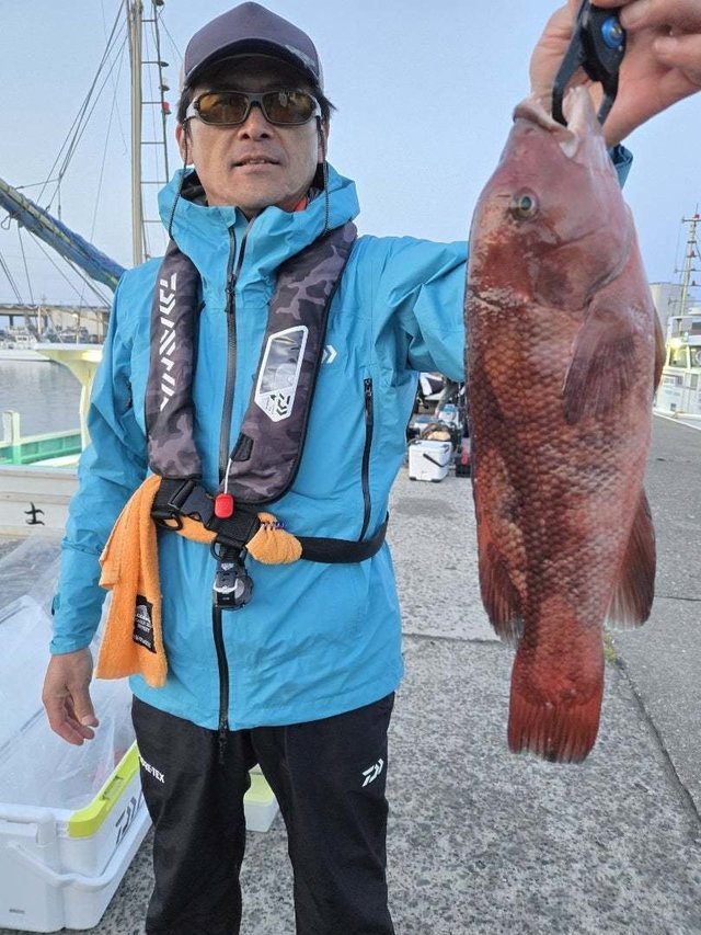 カンダイ(コブダイ)