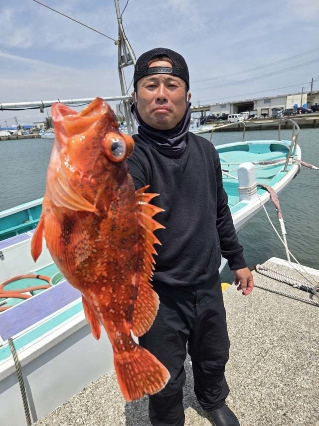 ウッカリカサゴ