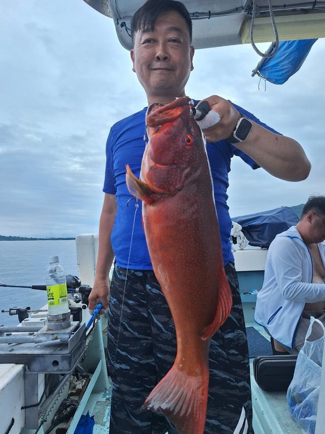 アカジン(スジアラ)