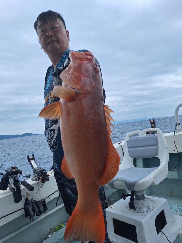 アカジン(スジアラ)