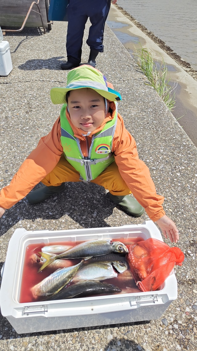 アジ(マアジ)・マダコ